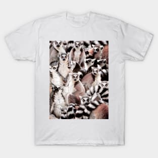 Lemurs T-Shirt